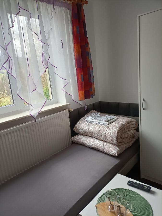 Appartement Jasionka 2 à Ustrzyki Dolne Extérieur photo